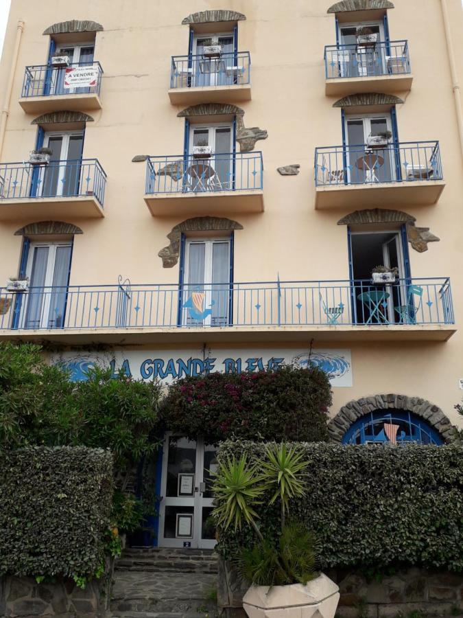 Banyuls La Grande Bleue : Studio T1 Luaran gambar
