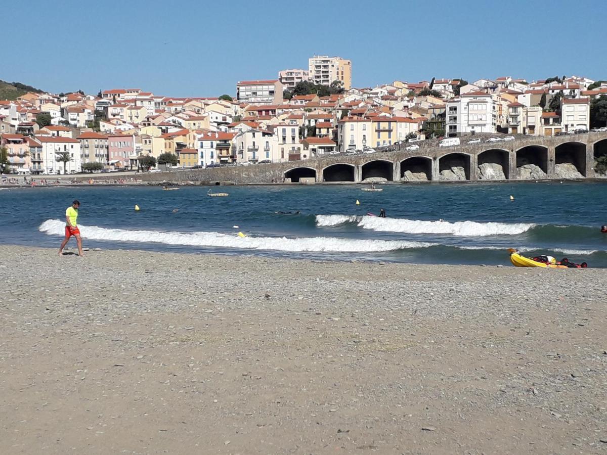 Banyuls La Grande Bleue : Studio T1 Luaran gambar