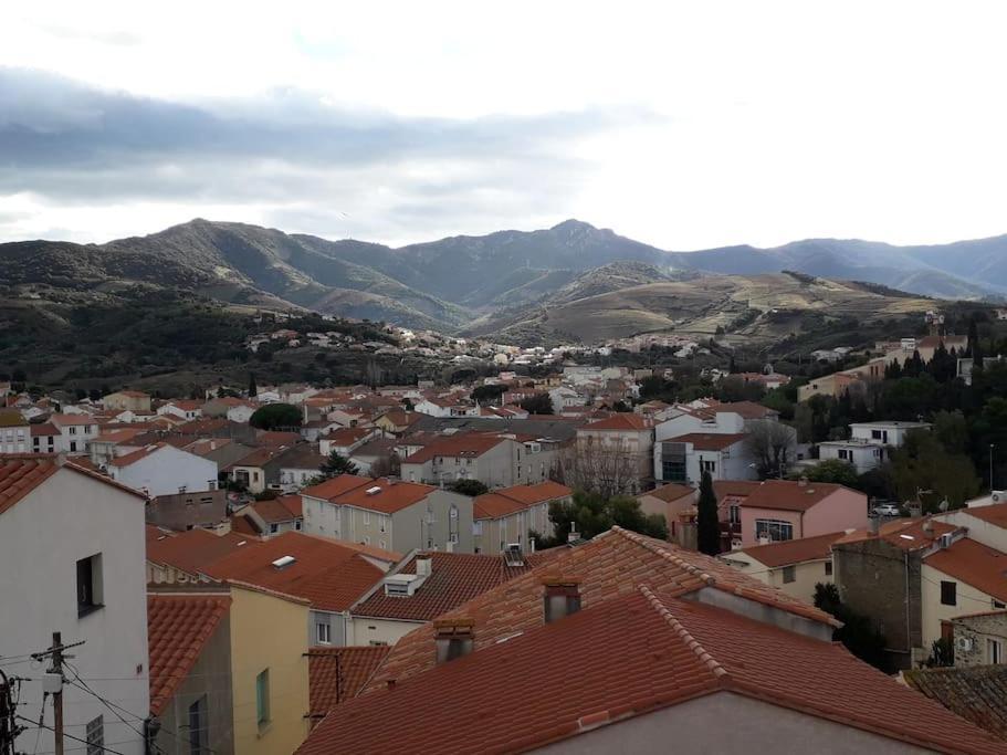Banyuls La Grande Bleue : Studio T1 Luaran gambar