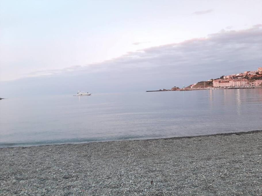 Banyuls La Grande Bleue : Studio T1 Luaran gambar