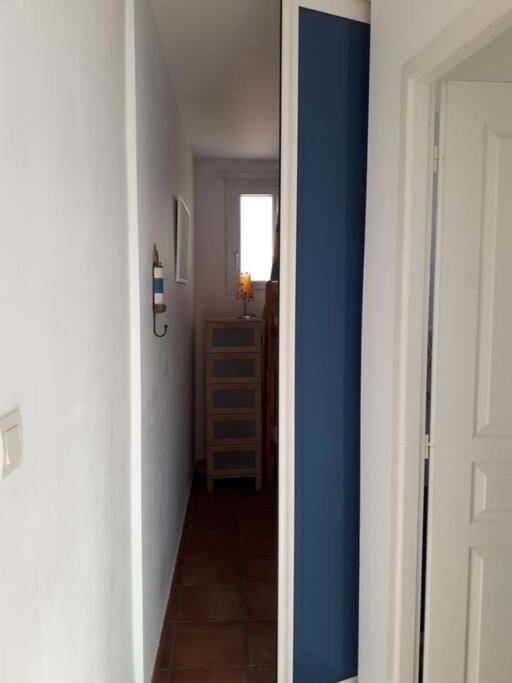 Banyuls La Grande Bleue : Studio T1 Luaran gambar