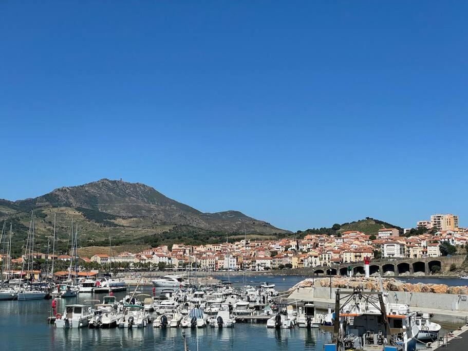 Banyuls La Grande Bleue : Studio T1 Luaran gambar